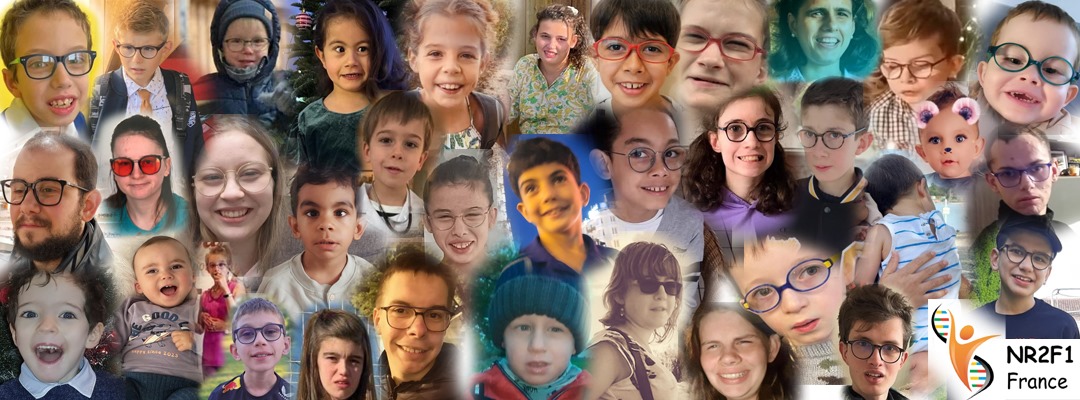Mosaïque des familles françaises NR2F1