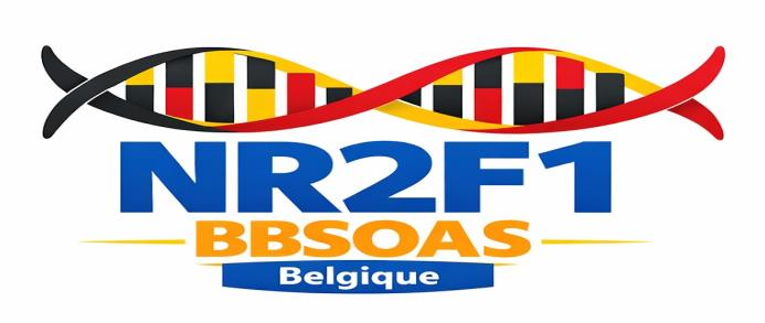 BBSOAS Belgique